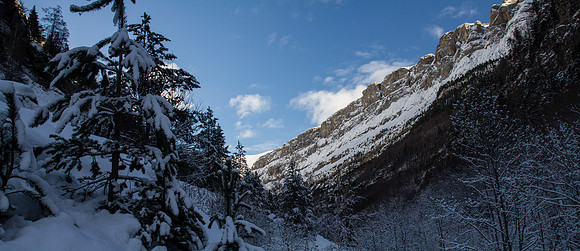Quiet canyon
