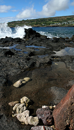Lava rocks and coral in Lanaii