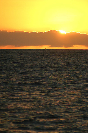 Coming Back from Lanai, Trilogy