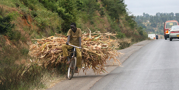 Corn rider