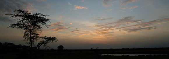 Sweetwaters Sunrise