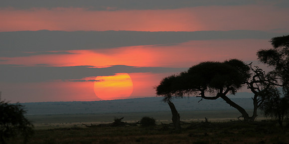 ambolei sunrise 102