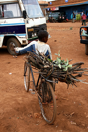 carrying wood to the market