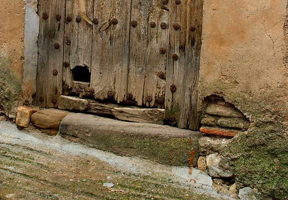 Cat door