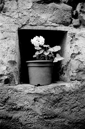 Flower pot, Anso